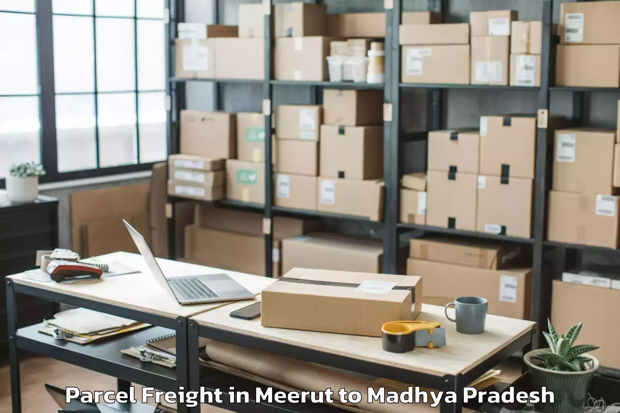 Top Meerut to Pachore Parcel Freight Available